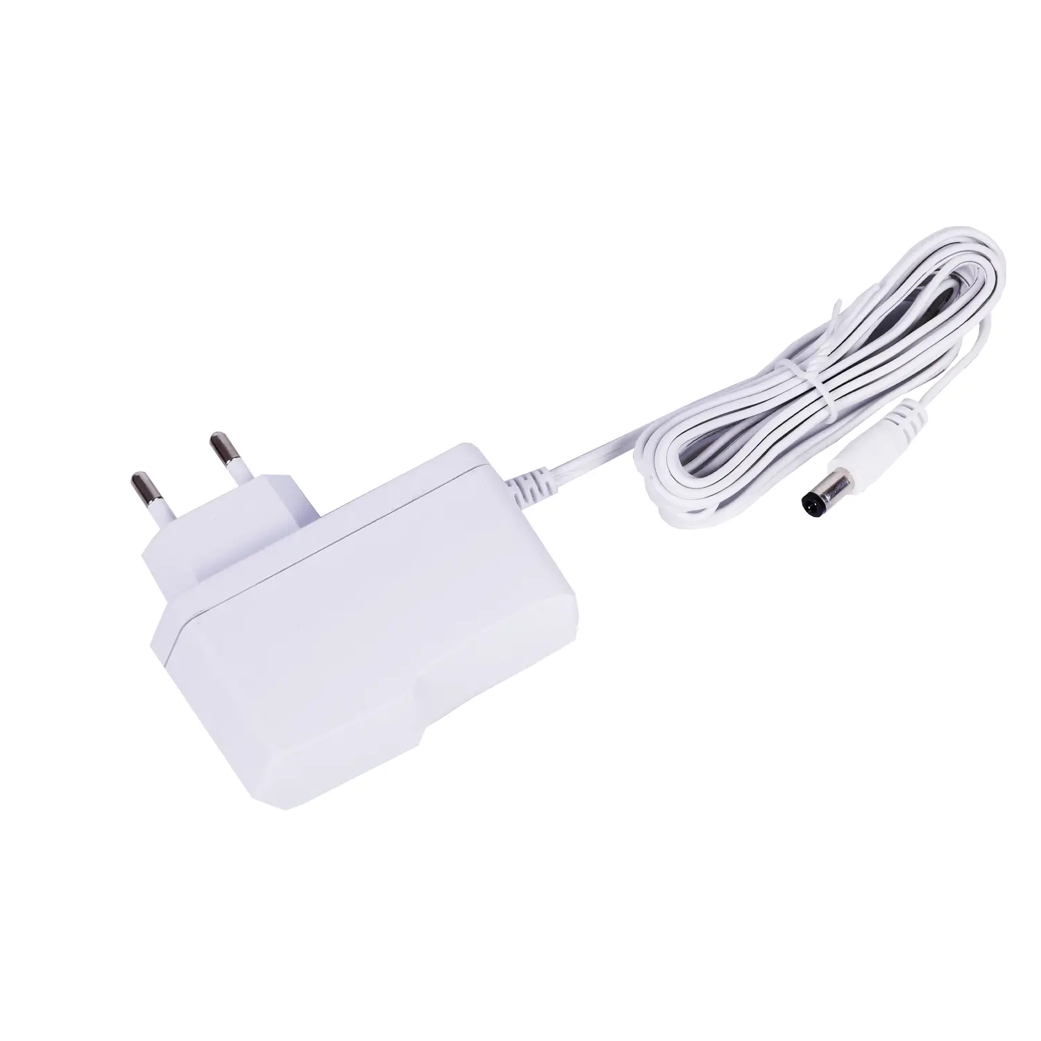 6v 12v 24v white charger 6V1A power adapter ac dc 6w