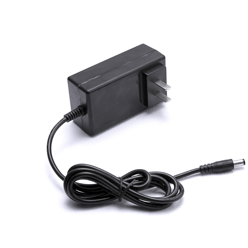 Fast charging 24w 36w 48w ac dc 4a 12 volt power adapter