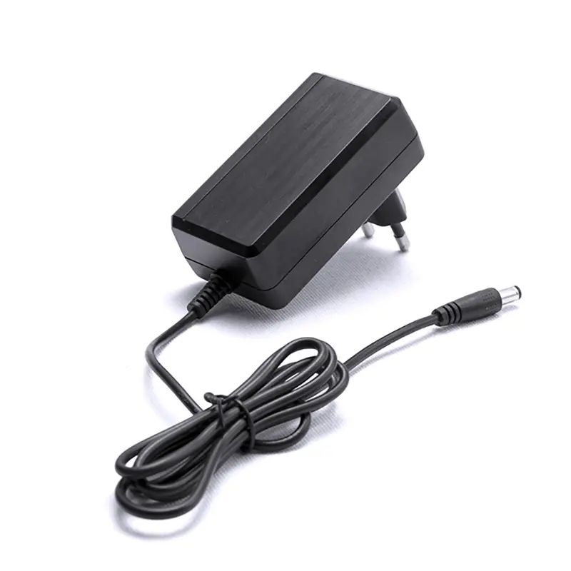 Fast charging 24w 36w 48w ac dc 4a 12 volt power adapter